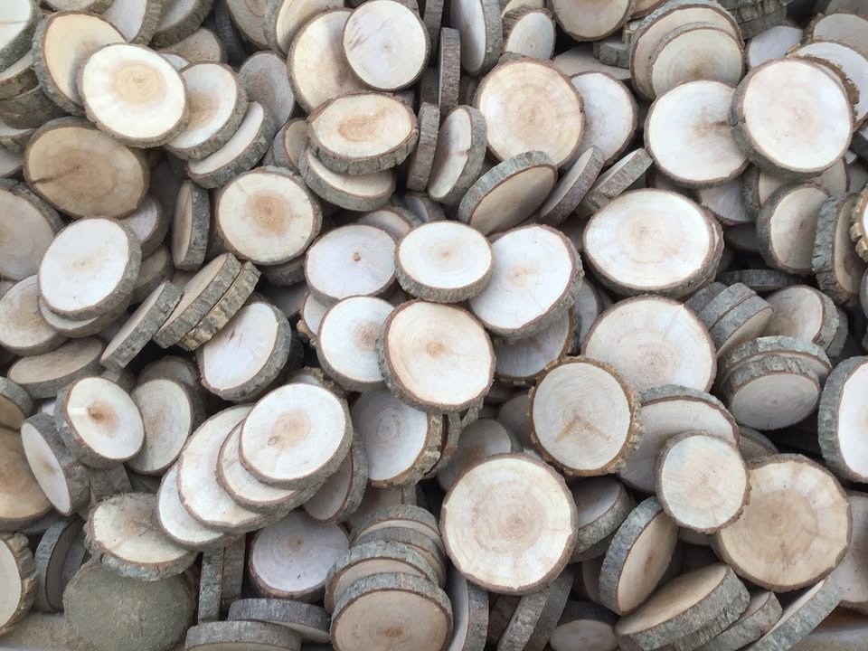 wood slices for crafts