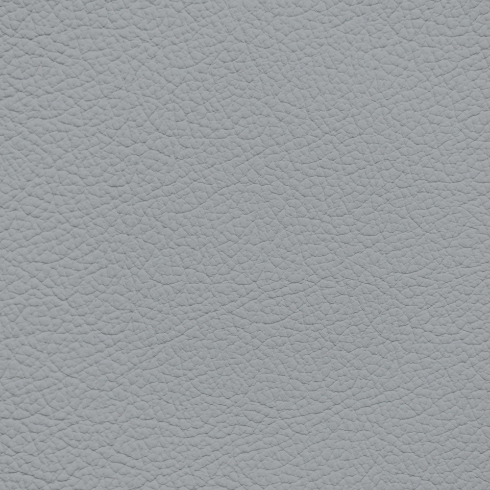 Jaguar Dove Leather Dye