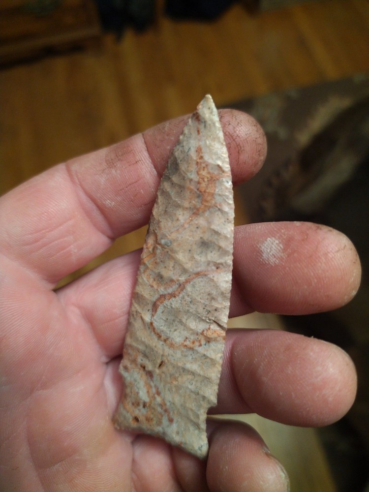 Dalton Kay County Chert