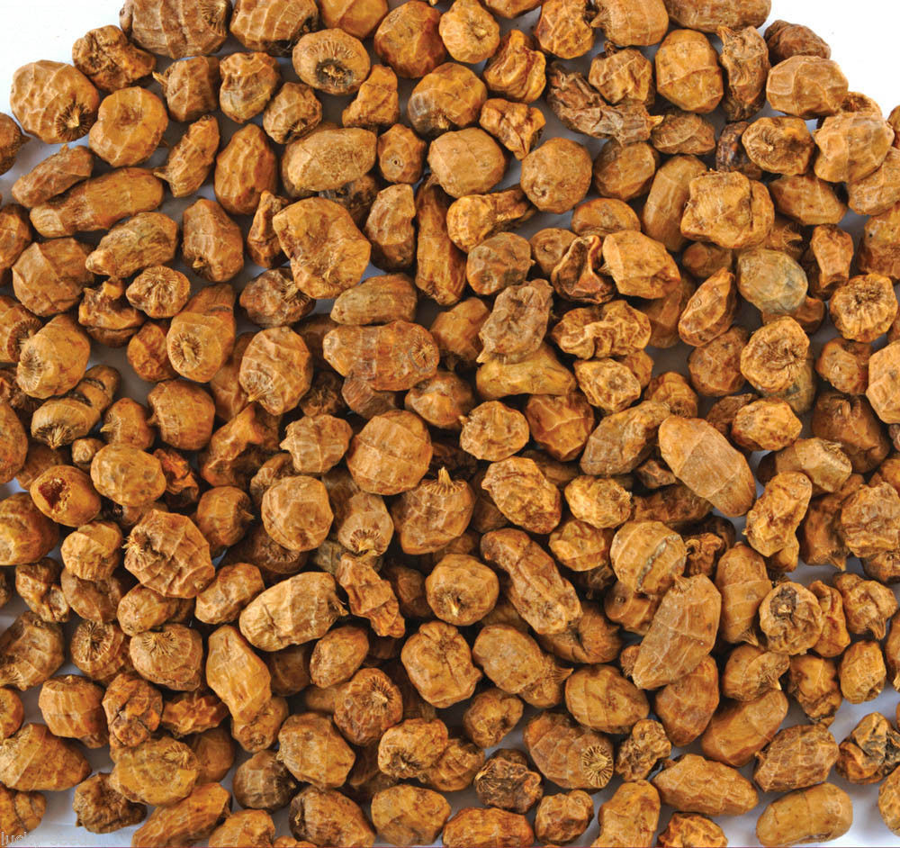Natural Chufa Seed | Tiger Nuts - 10 Lbs.