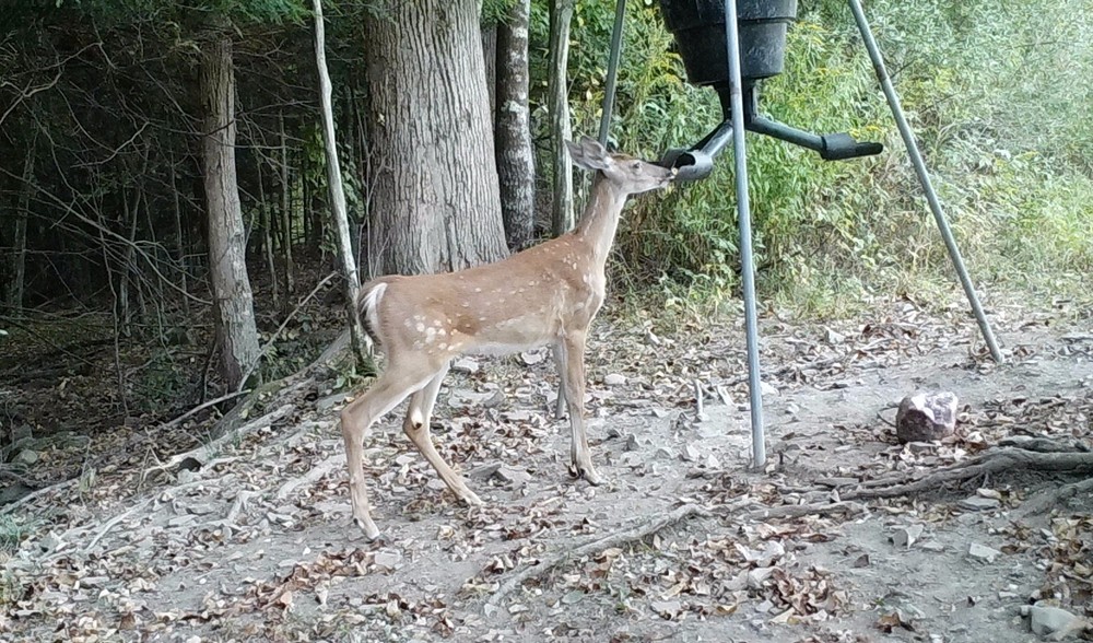 SPYDER Gravity Feeder Attachment