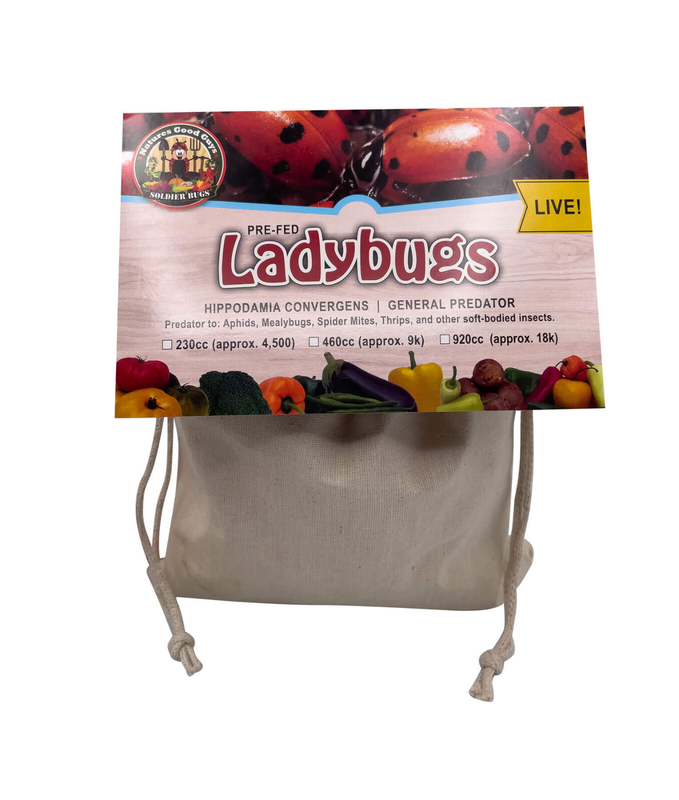 NaturesGoodGuys - Live Ladybugs - General predators