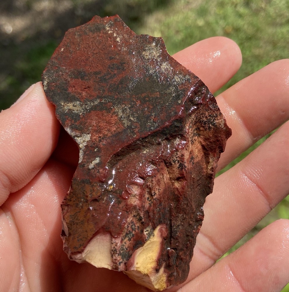 Wonderstone Rough/Specimen ( Shell Like ) 3.29 Oz