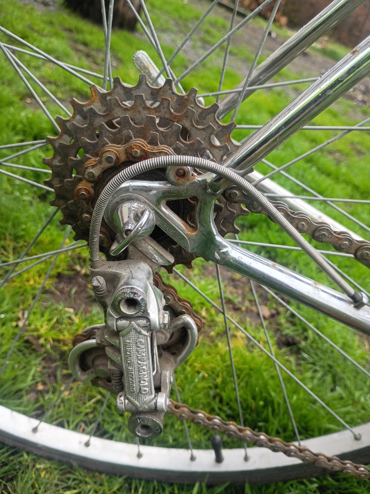 Vintage 1970-1974 The Raleigh International Bicycle with all Campganolo Hardware