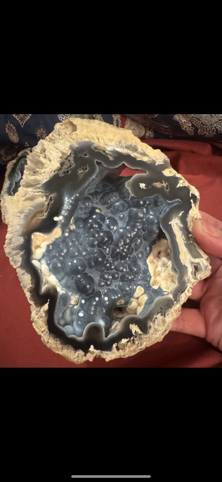 Rare Agatized Coral Fossil Geode -Large, Rare Colors!
