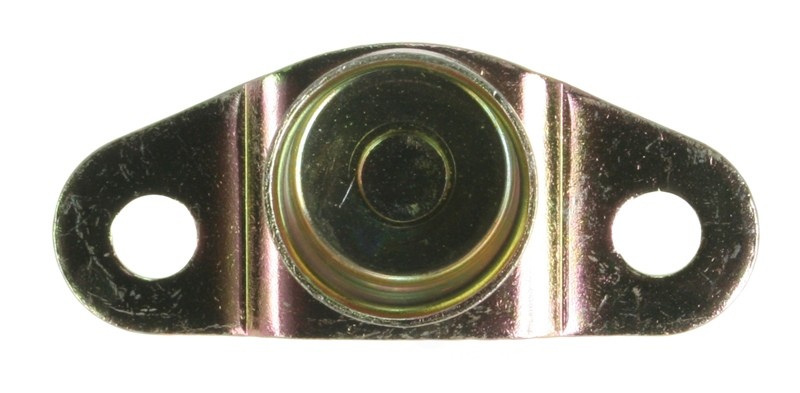 Tailgate Hinge DIY SOLUTIONS BHS00206