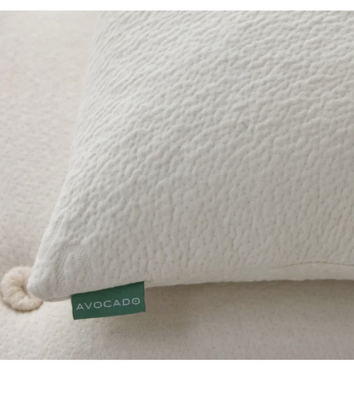 Avocado 100% Certified Organic Bed Pillow w/ Natural Latex and Kapok Fill Queen