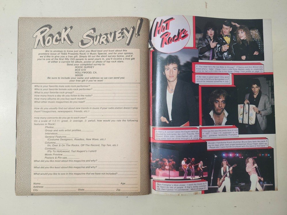 Tiger Beat Vintage 1980 Rock Magazine Van Halen KISS Cheap Trick Blondie POSTER