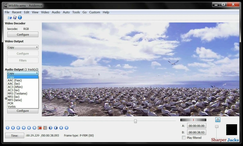 Avidemux Video / Audio Editor & Publishing Studio 2026 for Windows & Mac OS