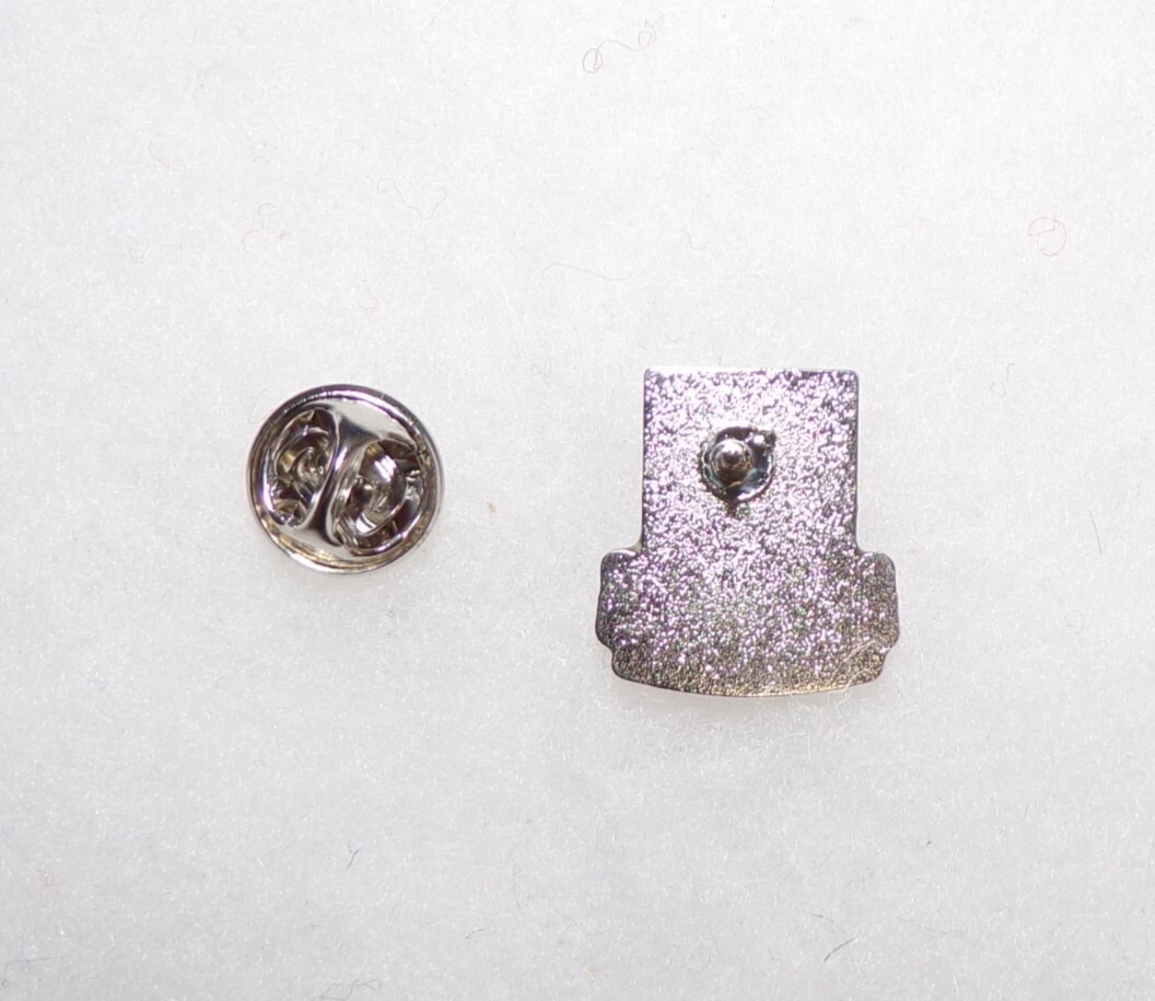 US Army 160th SOAR Special Operations Aviation Regiment Nightstalkers Lapel Pin