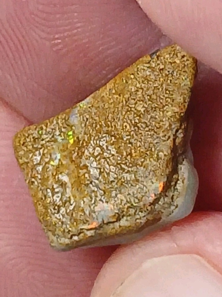 6.5ct Australian Boulder Opal Rough Rub ~ MUTICOLORED FIRE
