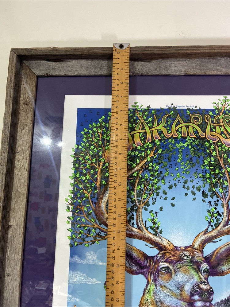 MINT FRAMED EMEK Widespread Panic Black Crowes 2013 Wakarusa Poster