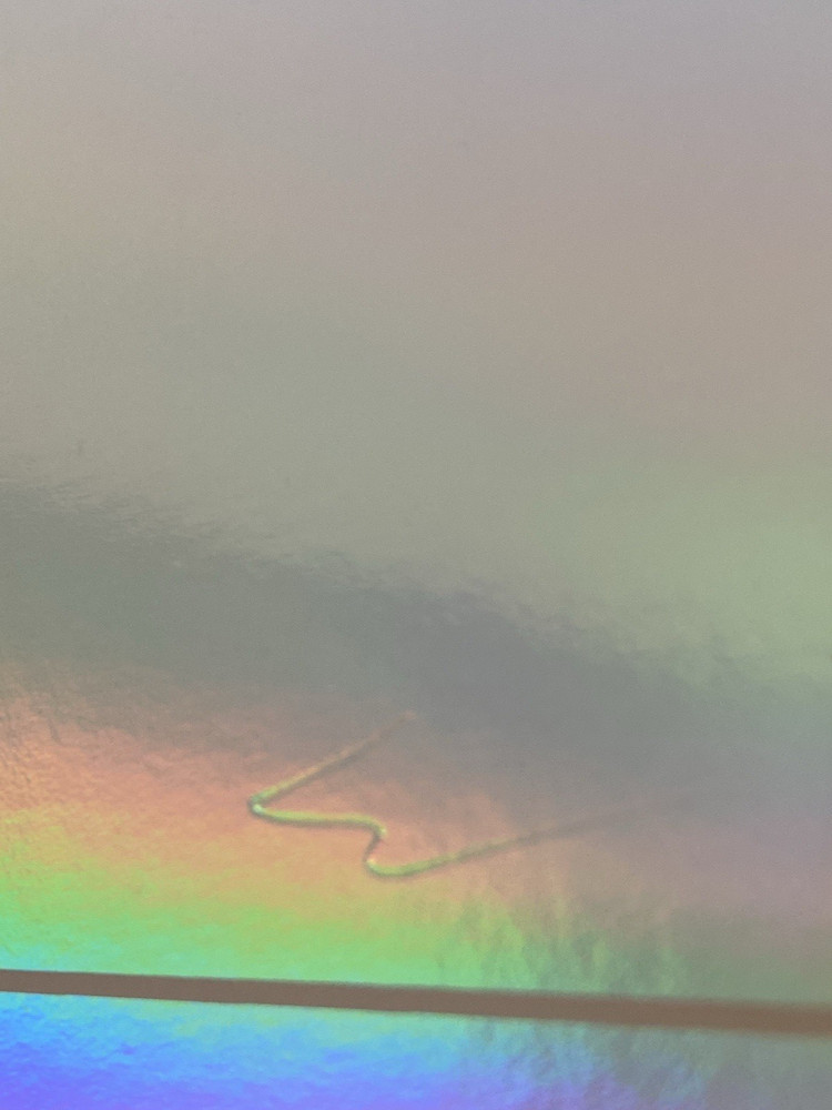 The Avett Brothers RAINBOW FOIL POSTER Des Moines IA Iowa State Fair 2024 SN #18