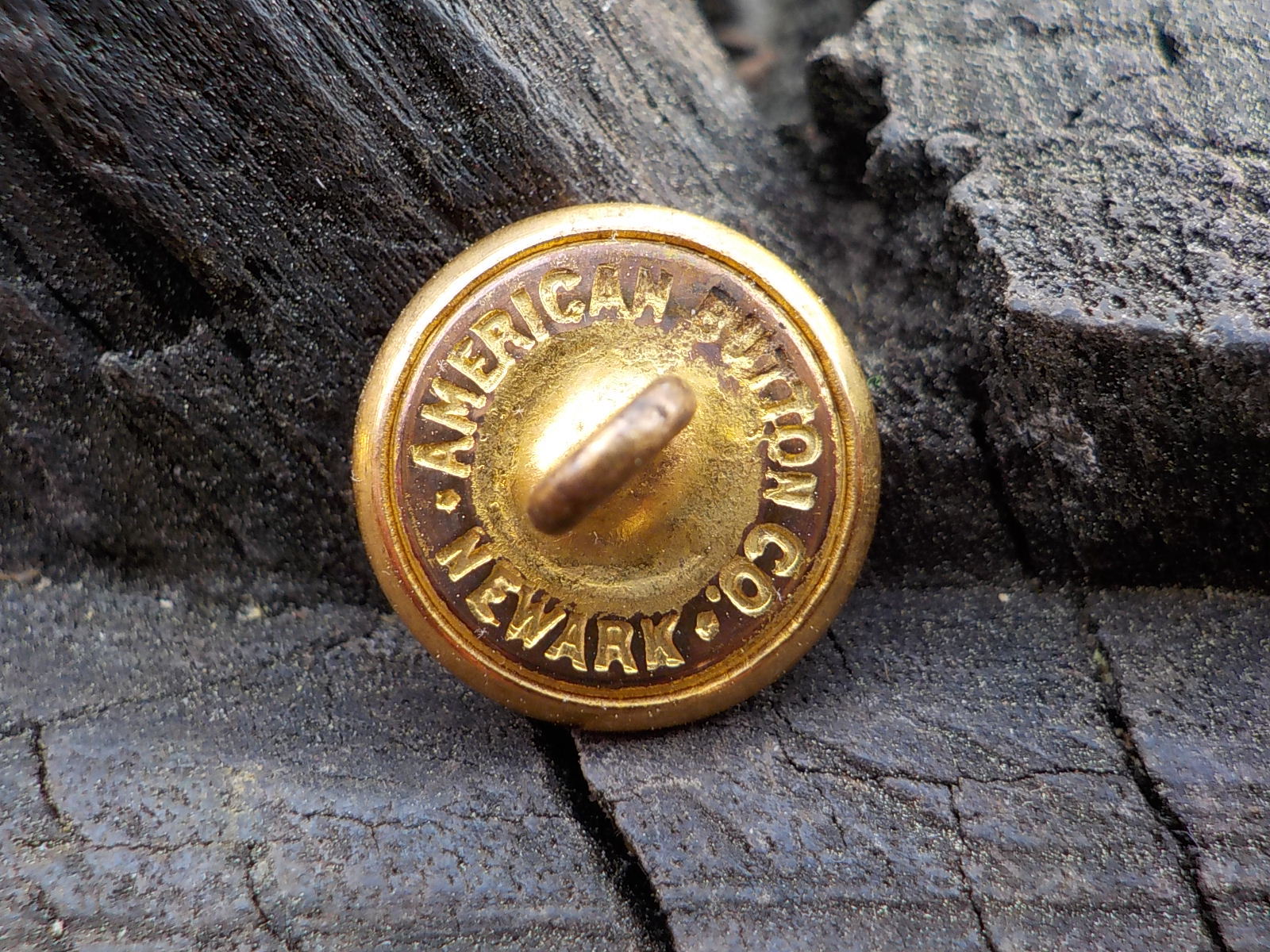 Old Rare Vintage Antique War Relic Wisconsin State Seal Vest Button Free Case