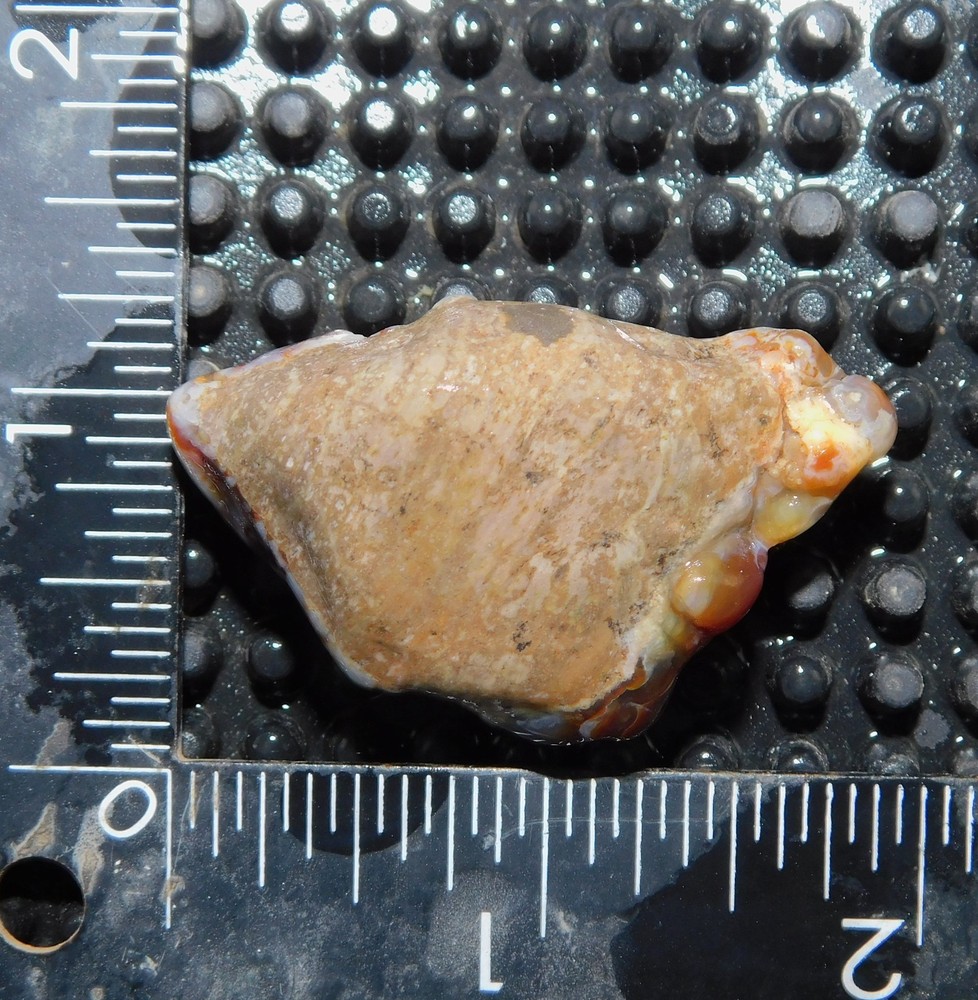 botryoidal Aguascalientes Fire Agate lapidary cabbing rough chunk Mexico 22 gram
