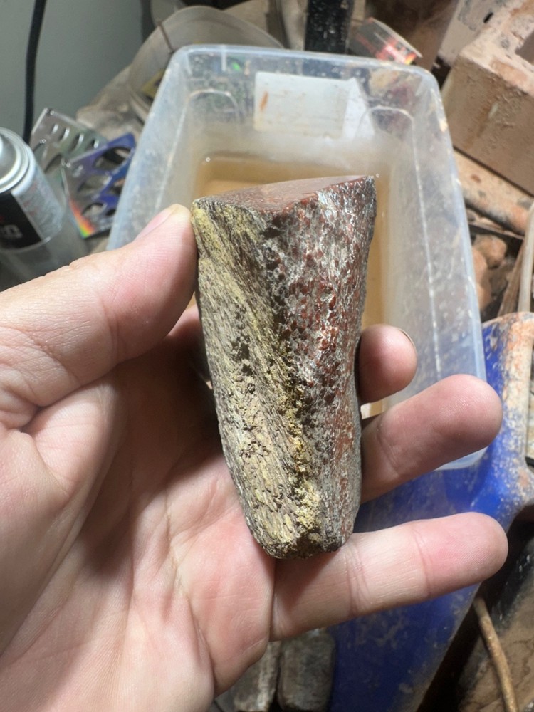 Dinosaur bone rough polished specimen