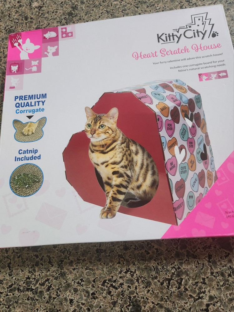 kitty scratching heart shape house