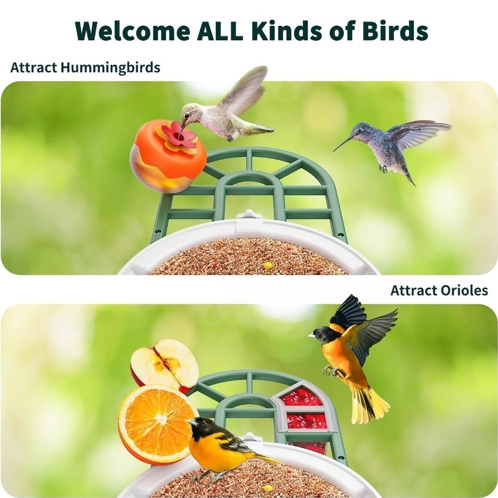 New! HARYMOR Bird Feeder Camera With Smart AI