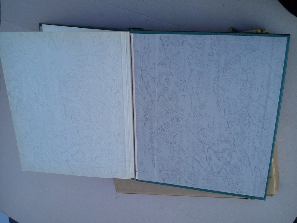 Stanley Gibbons Springback New Age Stamp Album Folder Binder Storage Green EMPTY