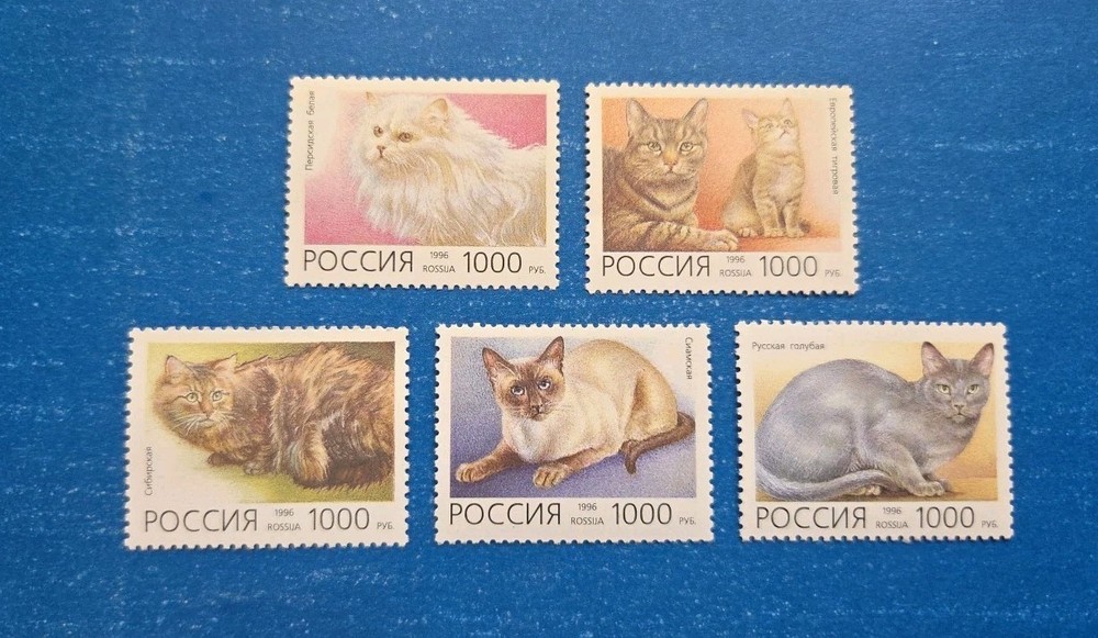 Russia Stamps, Scott 6307-6311 MNH