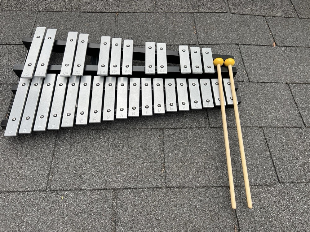 30 Note Glockenspiel and Carrying Case with Strap