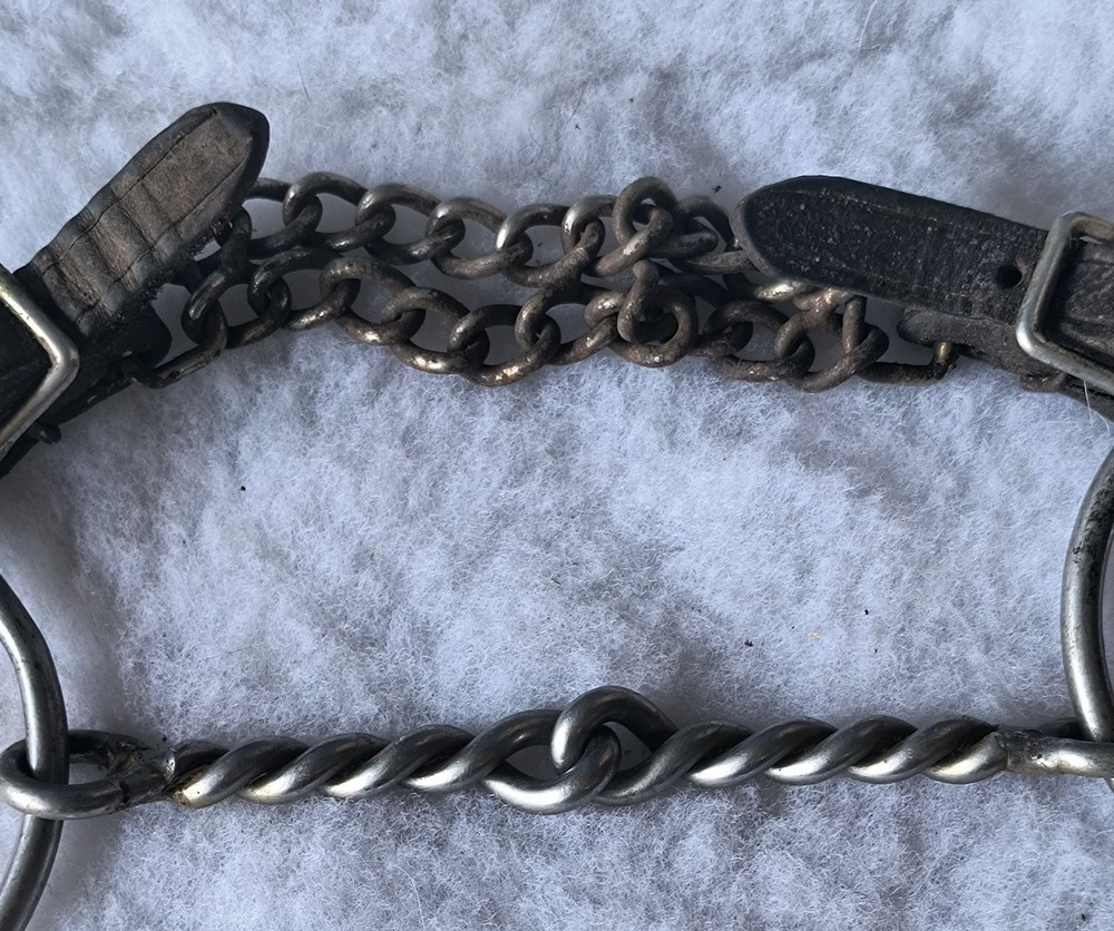 O-Ring Thin Twisted Wire Snaffle With Curb Chain