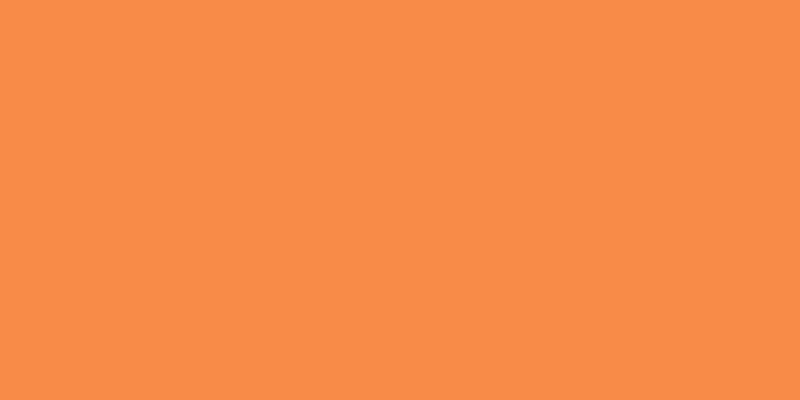 Crafter's Acrylic All-Purpose Paint 2oz Pure Pumpkin