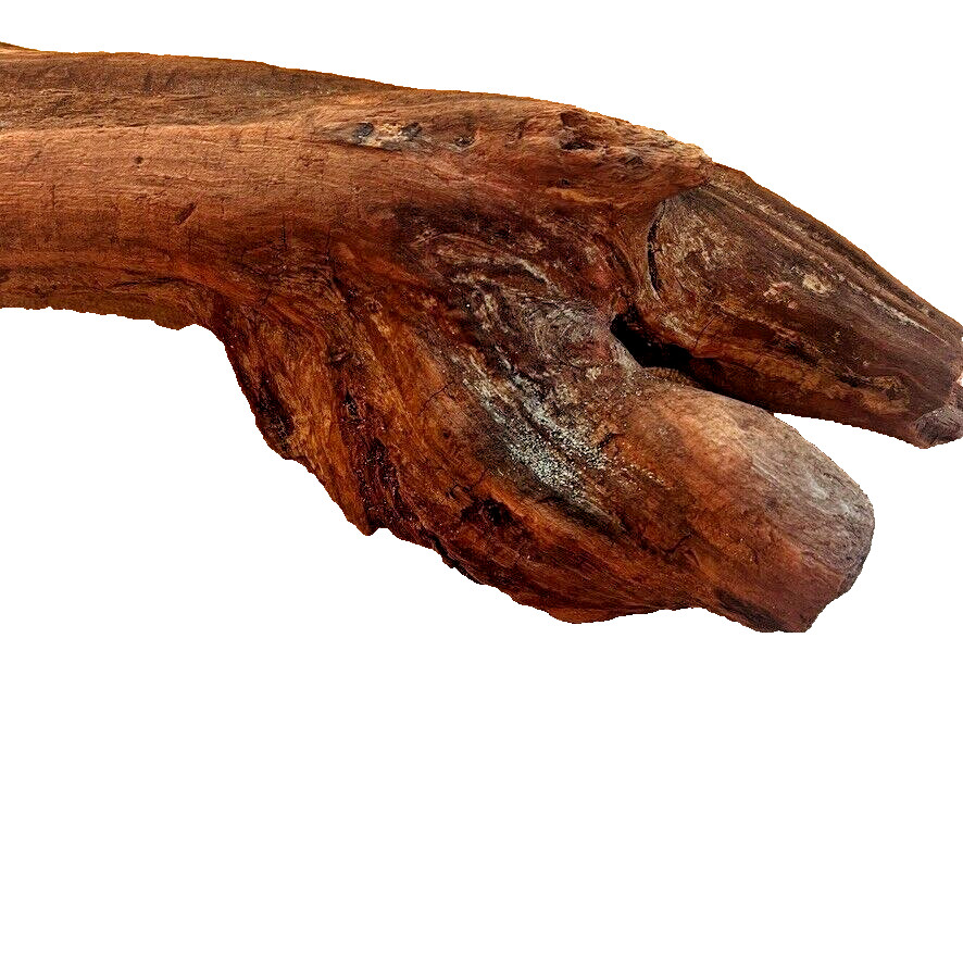 18" x 5" Redwood Driftwood Organic Craft Aquarium Rustic Boho Natural Wood