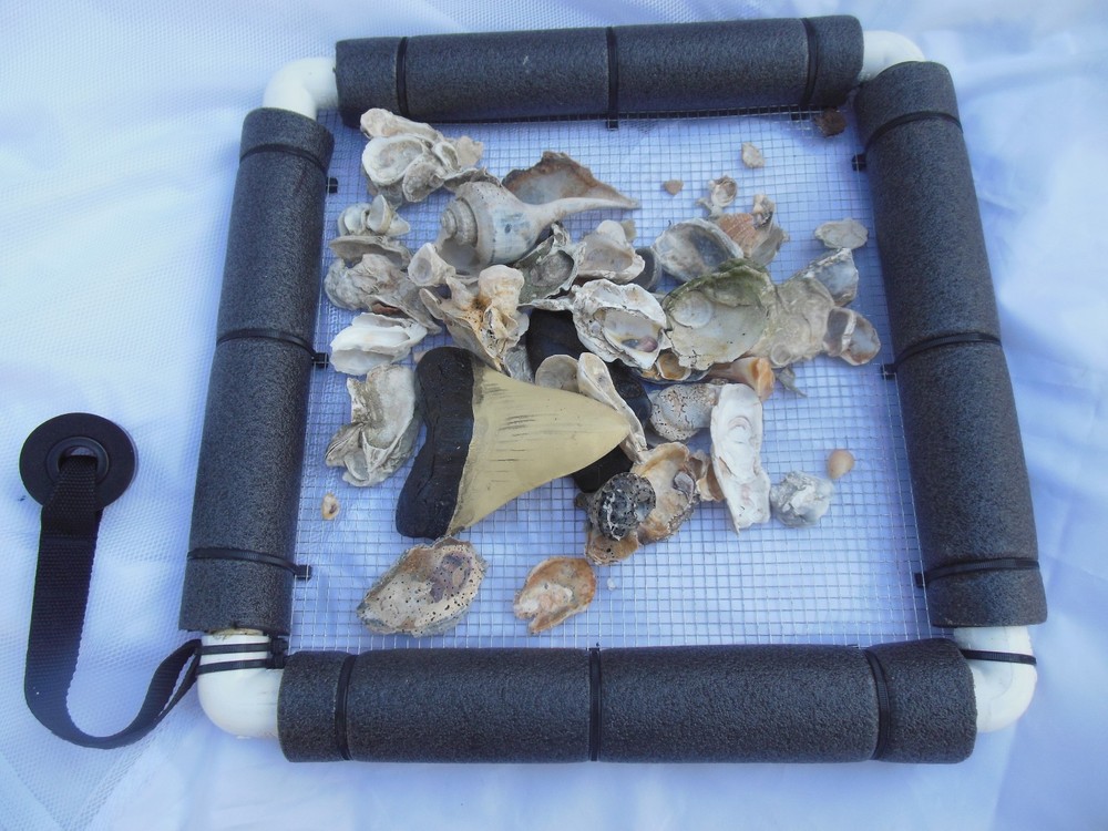 Floating Sifter Shark teeth/ Fossils/ Gems Small