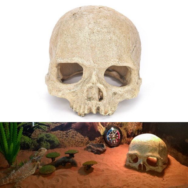 Aquarium Landscaping spider lizard snake python skull breeding house shelter