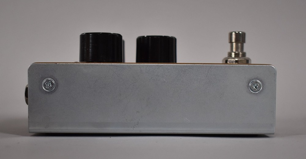 TC Electronic Echobrain Analog Delay Pedal