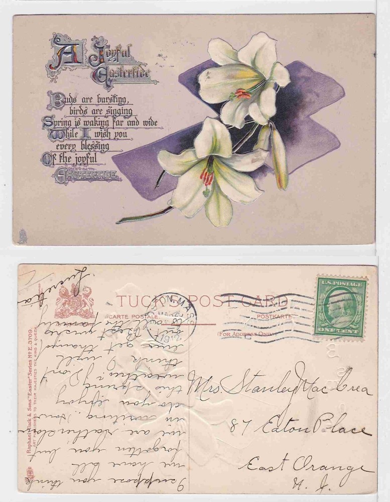 TurtlesTradingPost- Boston, MA 1912- Easter Post Card