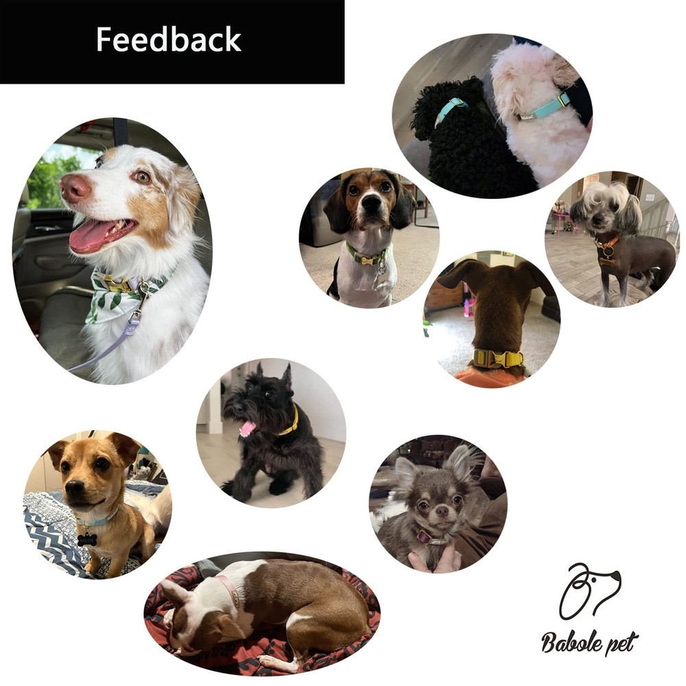 Nylon Dog Collar - Adjustable Deep Purple Soft Webbing Dog Collars for Small ...