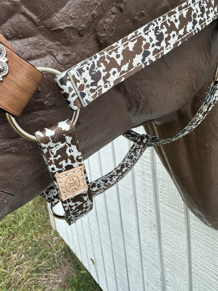 Personalized Nylon Horse Halter