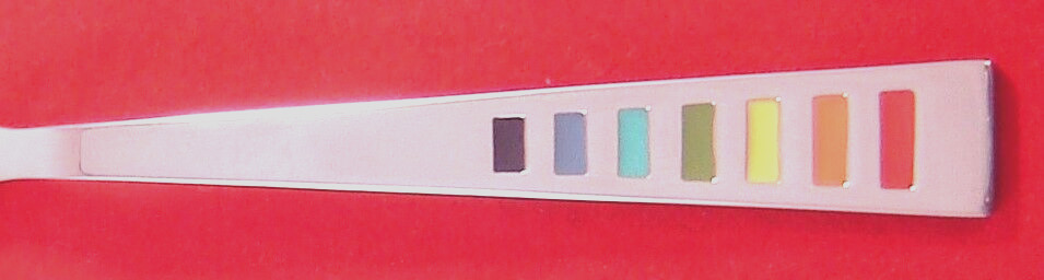 Fiesta CELEBRATION Stainless Glossy Color Inserts Choice NEW