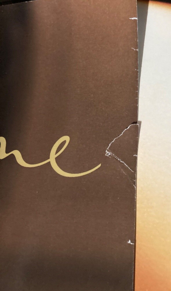 Celine Dion 1998 Two-Sided Promo Poster Glossy Surface Album Catalog