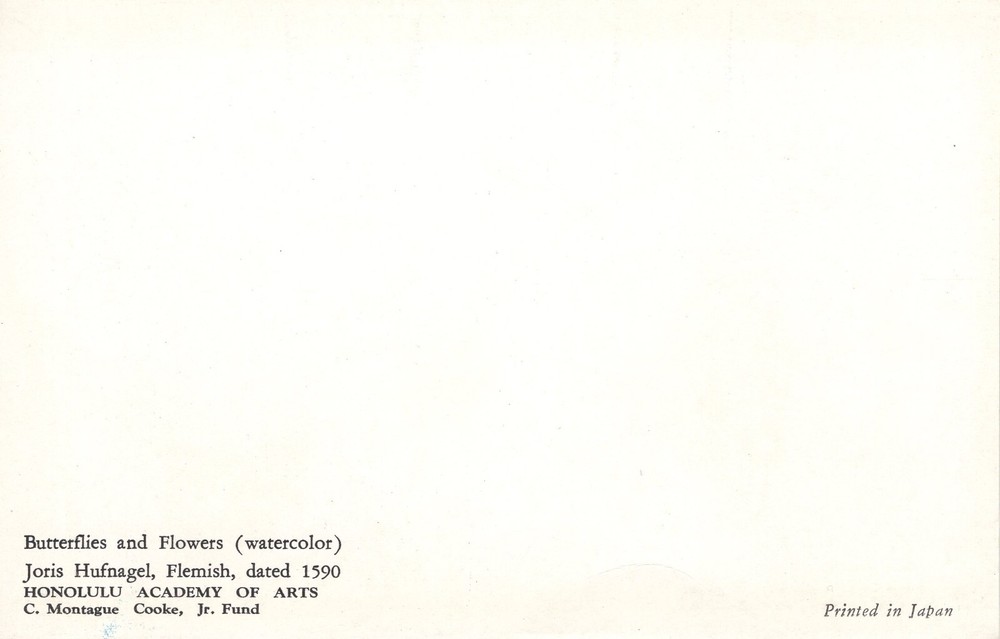 BUTTERFLIES & FLOWERS - PC4772