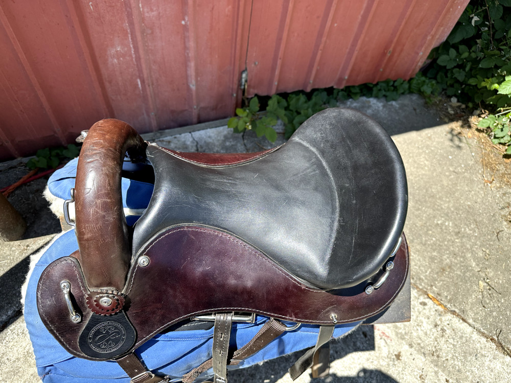 Evolutionary Saddle - The Minimalist Endurance Style Saddle 15"