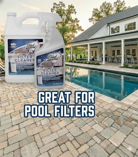 Ultimate Spa & Pool Filter Cleaner Spray, Professional Strength Fast 1-Quart