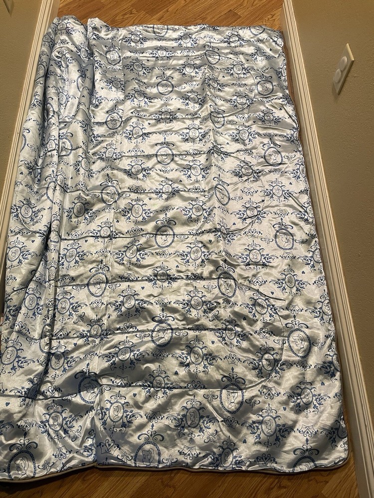 disney Princess sleeping bag with bag