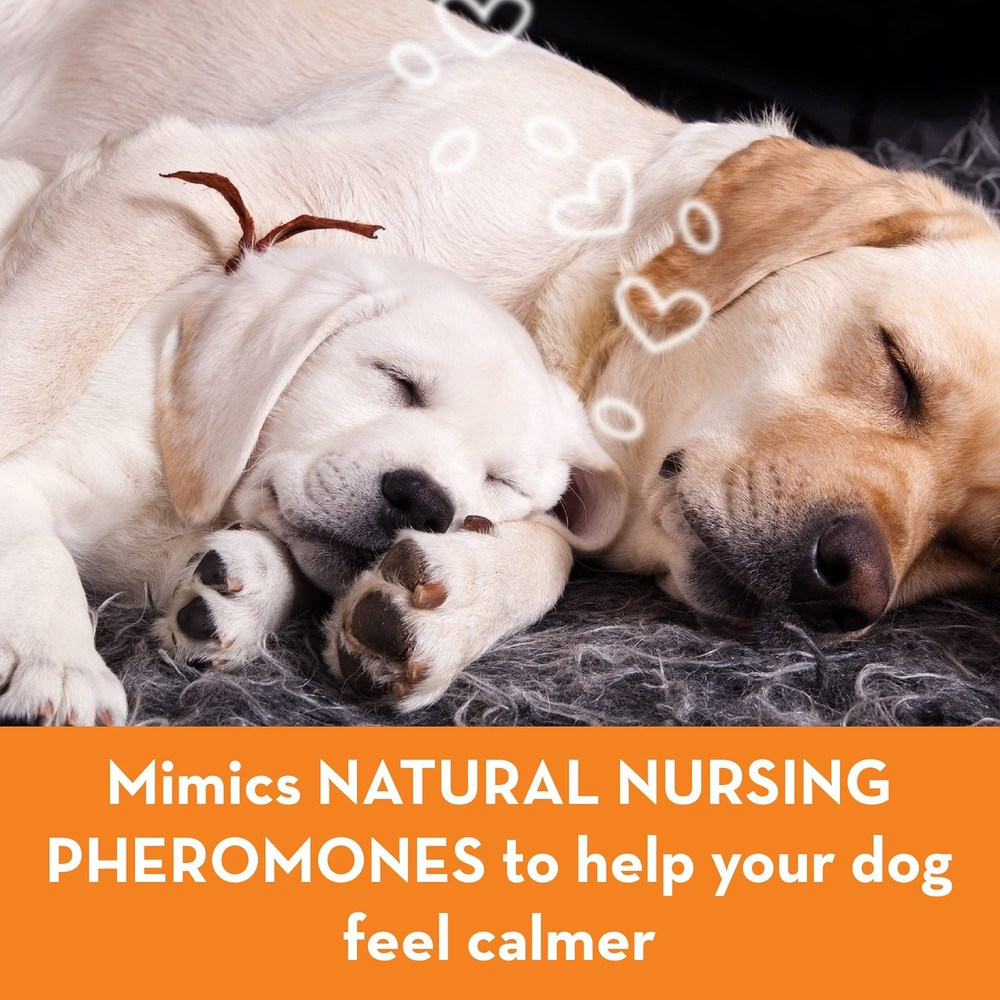 ThunderEase Dog Calming Pheromone Diffuser Refill | Powered by 30 Day Supply