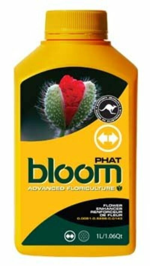 Bloom Yellow Bottle - Phat / 10 oz