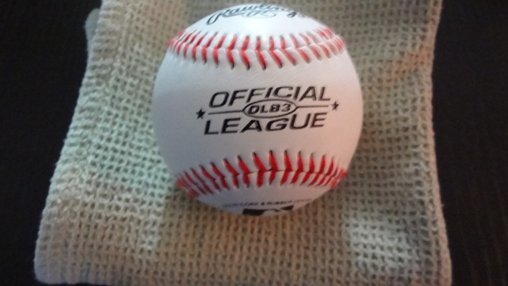 BRANDON LYON AUTOGRAPHED BASEBALL