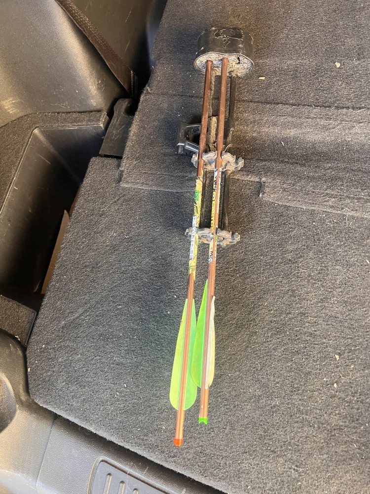 hoyt charger compound bow