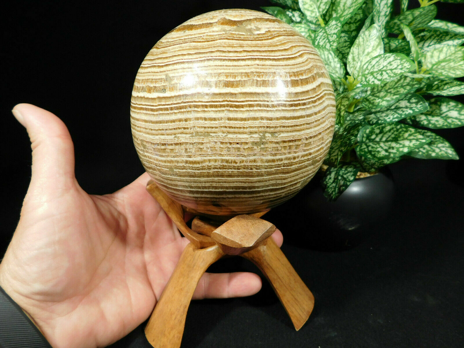 Sphere Stand Solid Wood Folding Handmade Medium Sized