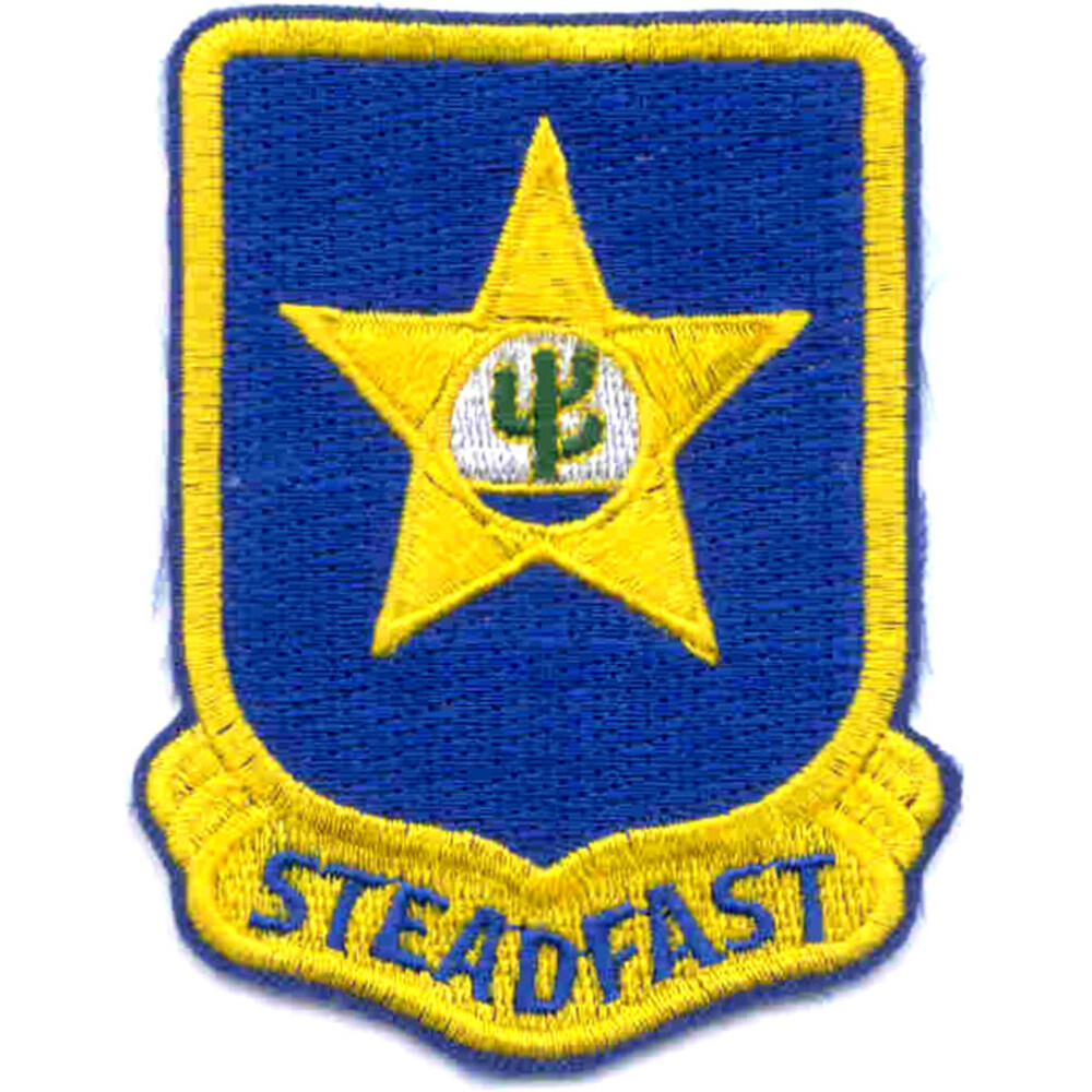 409th Infantry Regiment Patch