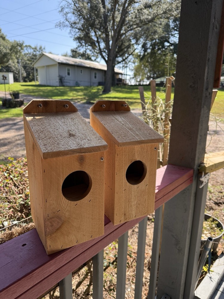 Squirrel Nest Box Made From Cedar