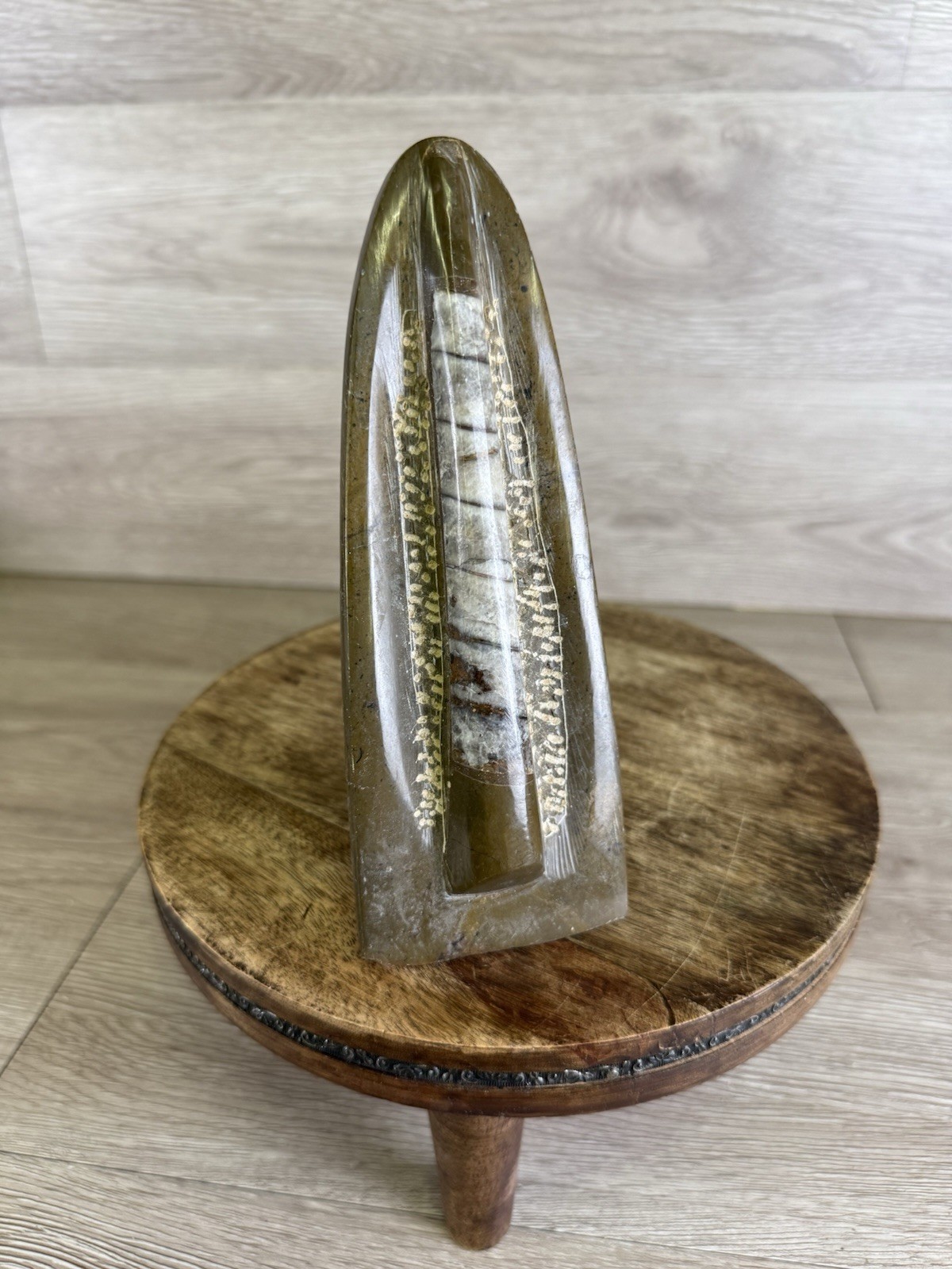 Vintage Standing Orthoceras Fossil 7” - Prehistoric Cephalopod Natural Display