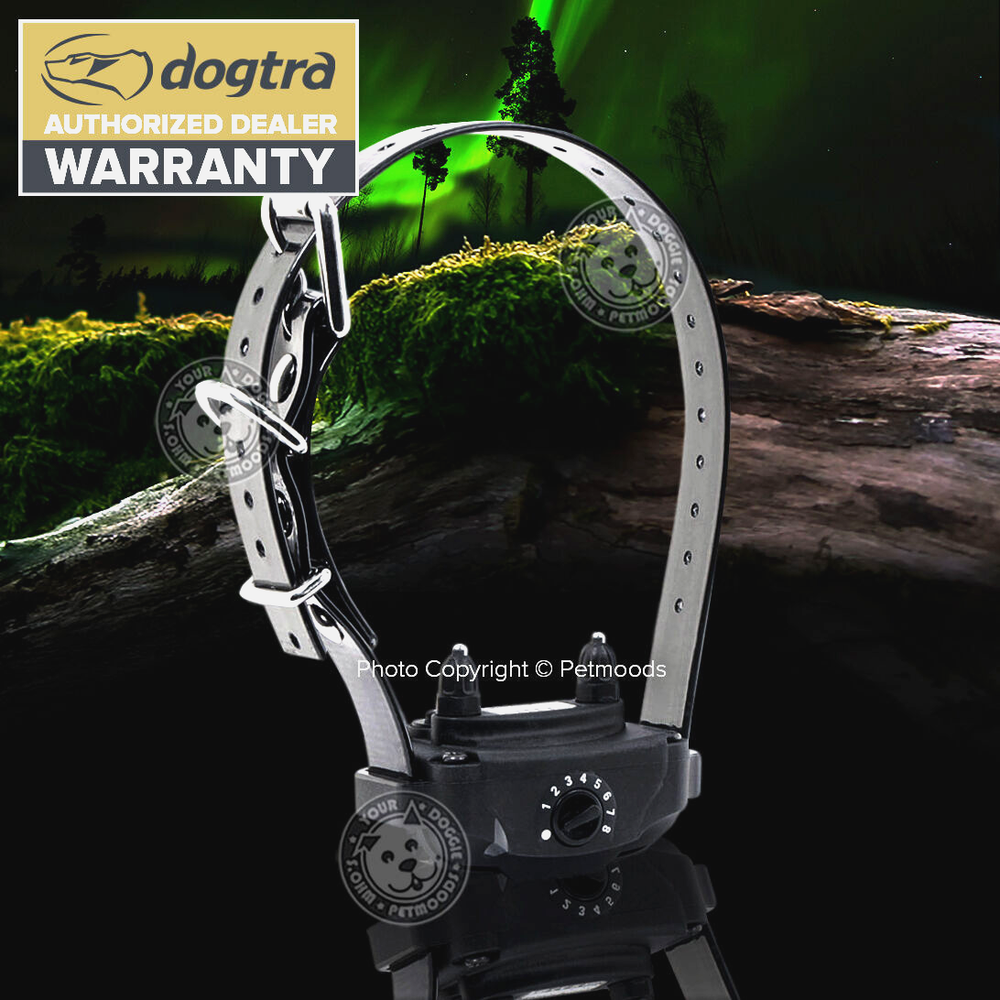 Dogtra E-FENCE 3500 RX Extra Collar Receiver