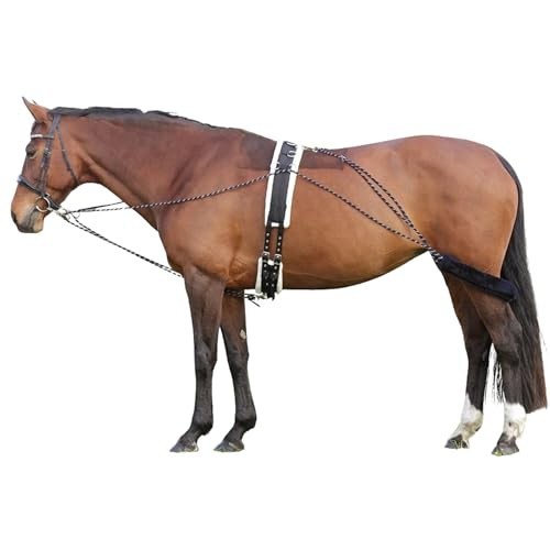 Lunging Aid for Horses - Pessoa Training System Compatible, Adjustable & Durable